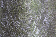 Gilberts End fibreglass roof work